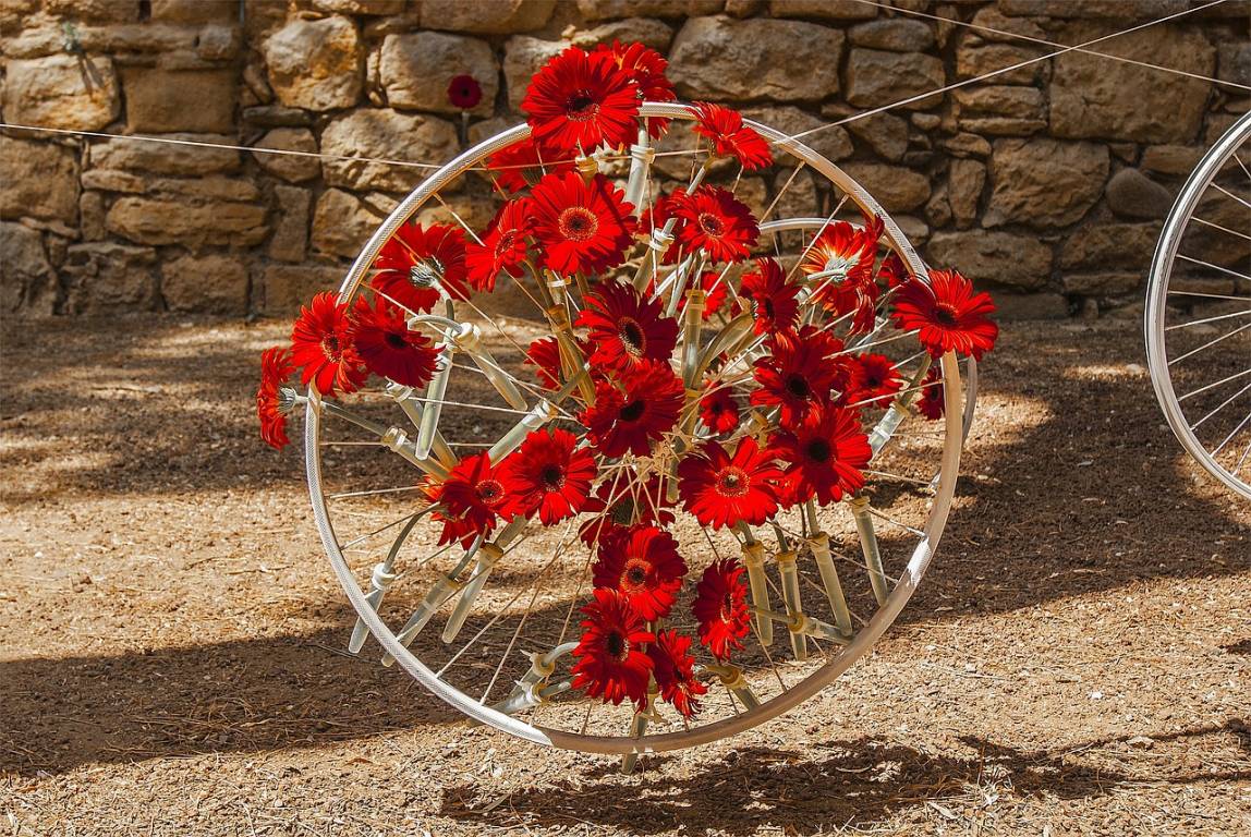 foto de Visita guiada a Girona Tiempo de Flores