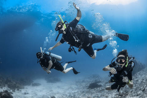 Practicar submarinisme a la Costa Brava 