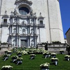 La Catedral - 36994-La-Catedral-de-Girona-4.jpg