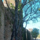 Les muralles - a2eed-Murallas-de-Girona.jpg